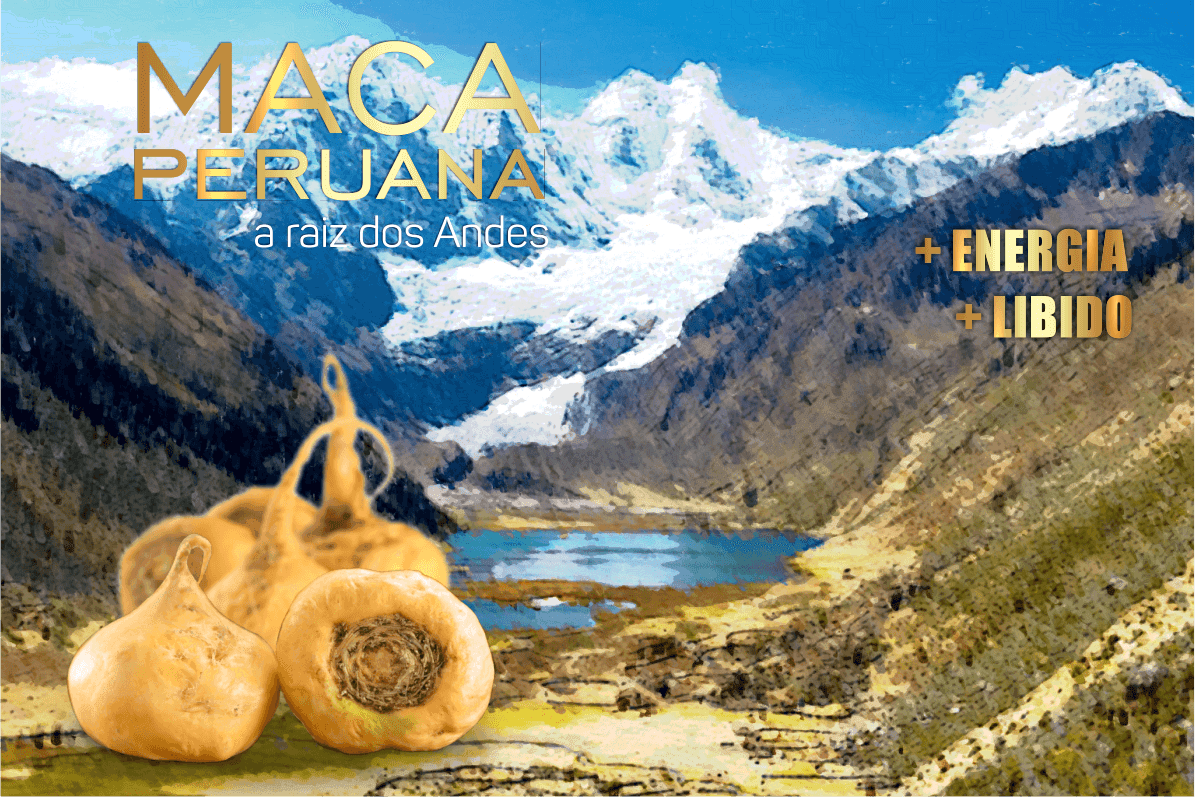 Imagem ilustrativa: 9 benefícios da maca peruana para a saúde que você não sabia